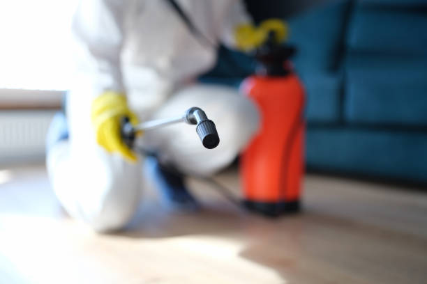 Hillside, IL Mold Removal Company